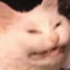 Meet your Posher, Caleb